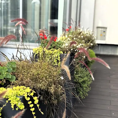 Vesk Sveciu Namai Guest house 2*