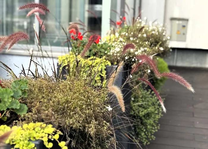 Vesk Sveciu Namai Guest house 2*