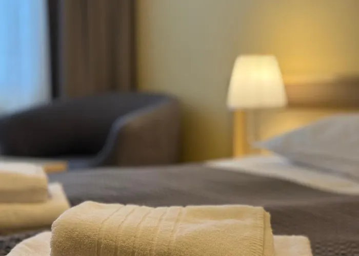 Vesk Sveciu Namai 2* Druskininkai